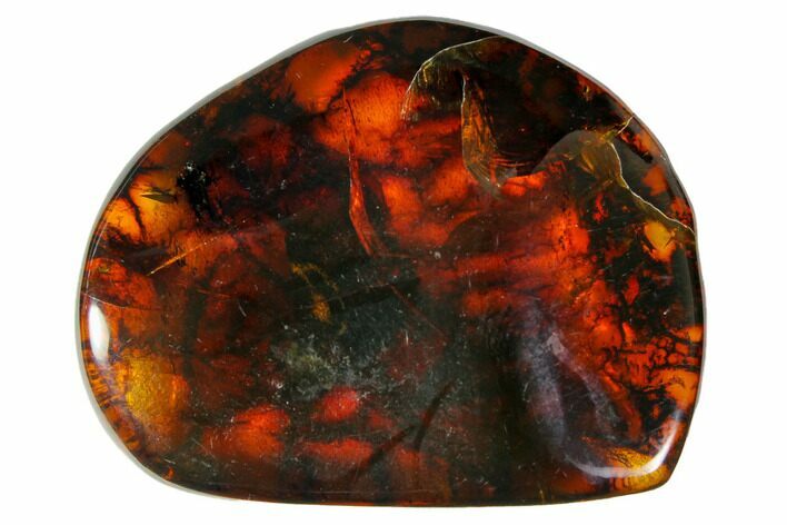Polished Chiapas Amber ( g) - Mexico #114775